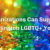 Sequined rainbow background with the following text. "Organizations can support Burlington LGBTQ+ Youth"